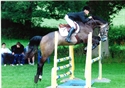 hector at Hickstead 2011