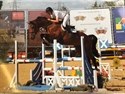 Foxhunter at Western Lawns