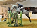 Mark Bun ting in Foxhunter Final Arena Uk 2010 on Davidoff Van Overis