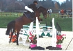 Balarina with rider Sophie Kempshall April 2011