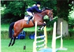 Balarina Hickstead 2011