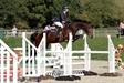 Balrina well tuck up Oct 2011