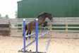 Loose Jump Le Marquand