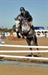 Fauber with Caroline at Arena UK V Scopey 2010