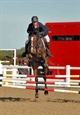 Galant Under Kurtis Malik clear at Arena Uk Jumping Championships 2010