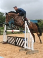 Galant by Cicero Z over Jumps July 2010