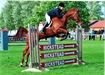 Diamond at Hickstead 2011