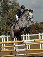 Bronco with Darco bloodlines 2011