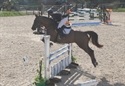Venus Foxhunter