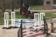 Foxhunter