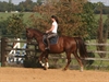 Venus Schooling