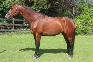 Fame Van Overis