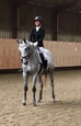 Snowbird doing her first dressage test in her new home.