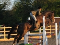 ASkan jumping under Kate Jackaman