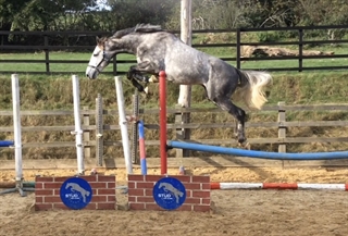 Mullentine Balthazar