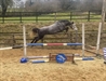 Fragrance UK scopey jumper 2021