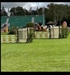 Orange Juice UK  Hickstead main ring 23