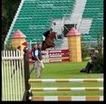 Orange Juice UK #Hickstead main arena 23