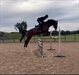 Luuk-H #Stallion Jumping in competition
