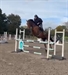 Goldeneye UK #showjumping