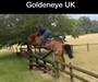 Goldeneye Cross country