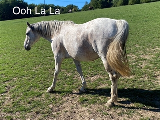 Ooh La L'Arc