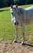 Ooh La La Head shot 2021
