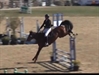 Expressive Jumping Cristo Z