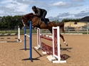 Tina in competition