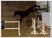 Chan Chan over jump