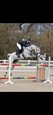 Zinzi over Jump