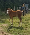 Kiora Uk 3 months
