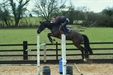 Mark Bunting on Ennio 2010