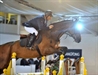 Mark Williams & Zaire in the lime light at Arena UK 2010