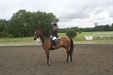Zaire addington with Emily