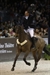 Zaire Winning the Land Rover Grand Prix Bordeaux