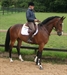 August 2011 with rider Sophie Kempshall