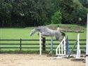 Massini Loose Jumping - Open Day 2010