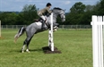 Branco at Felbridge
