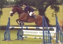 Volant Hickstead