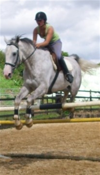 Corradino Z
